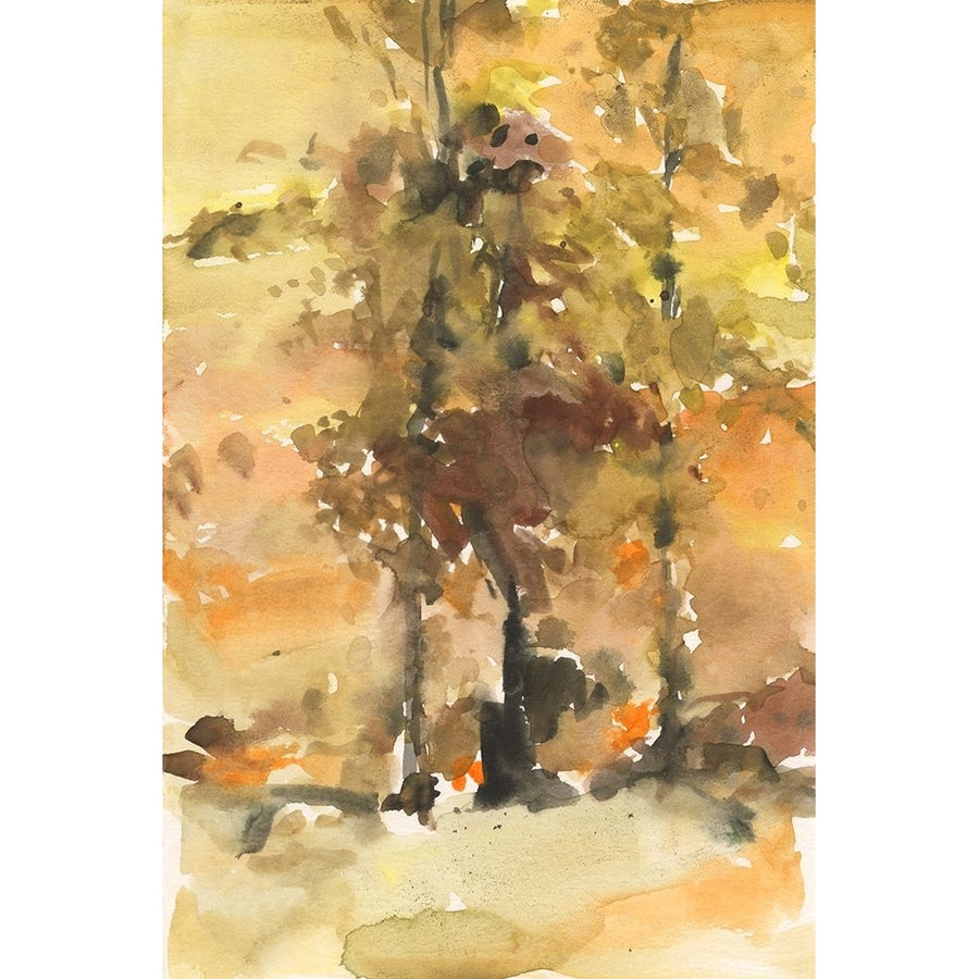 Fall Foliage Watercolor I Poster Print - Samuel Dixon-VARPDX197680FN Image 1