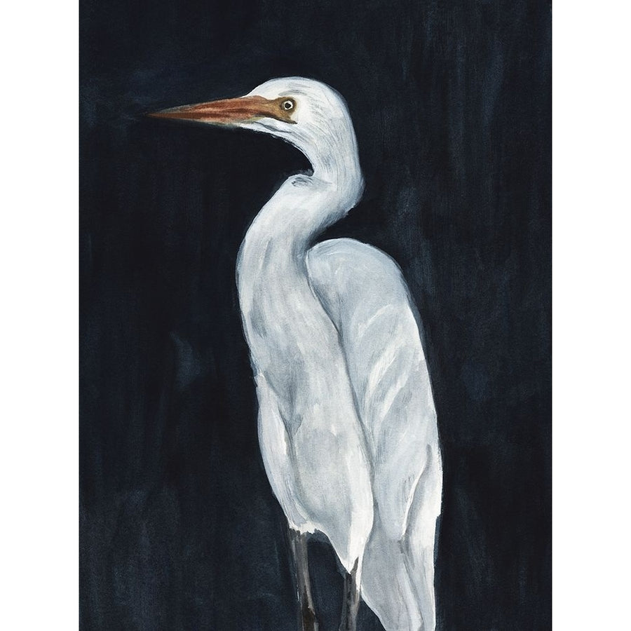 Calm Great Egret I Poster Print - Annie Warren-VARPDX197934Z Image 1