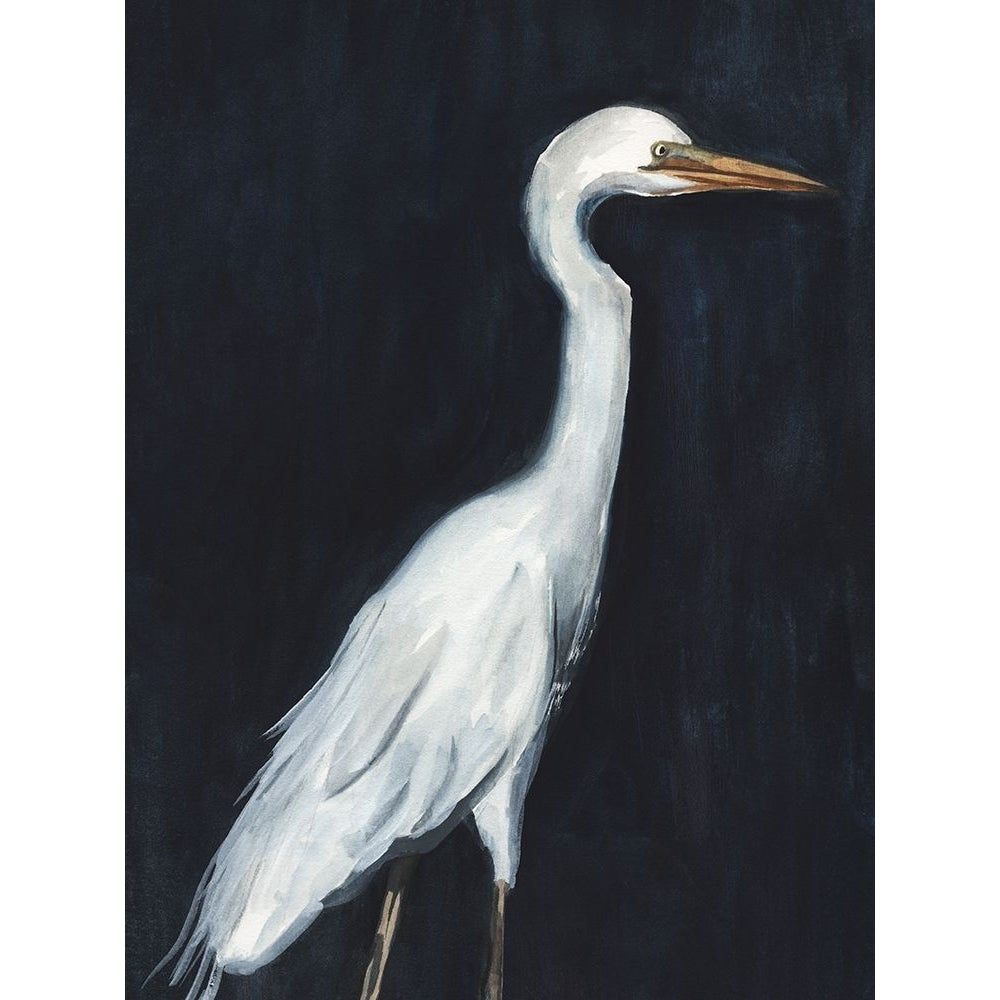 Calm Great Egret II Poster Print - Annie Warren-VARPDX197935Z Image 1