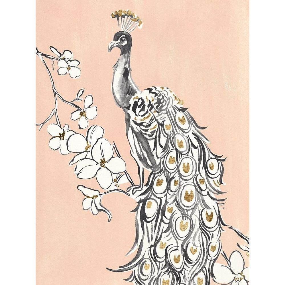 Peacock in Gold II Poster Print - Annie Warren-VARPDX197937Z Image 1