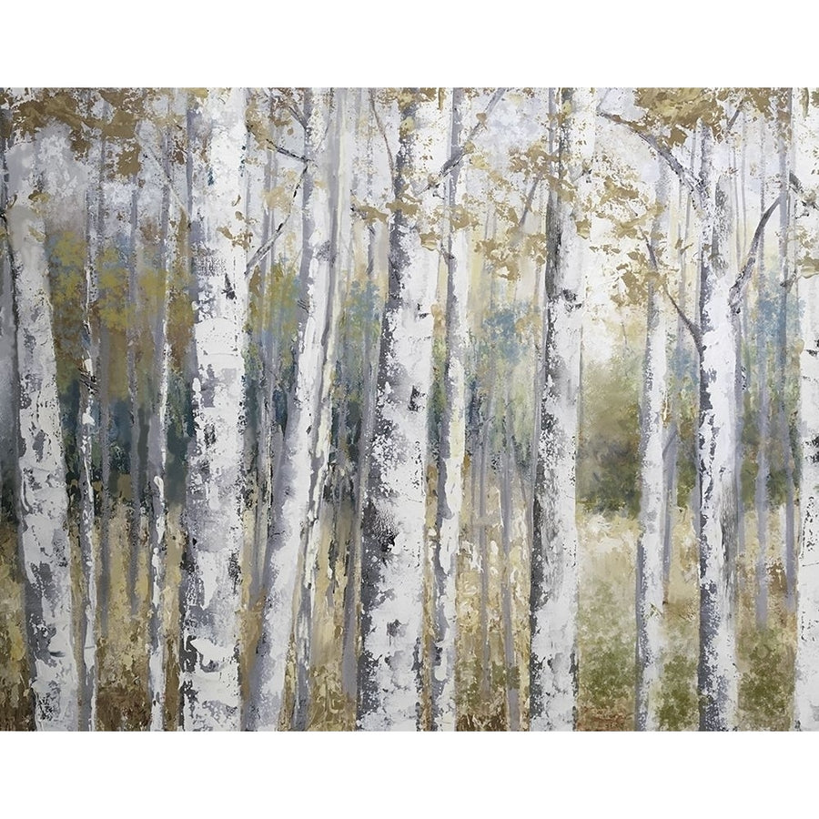 Hidden Birch Poster Print by Nan-VARPDX19838 Image 1