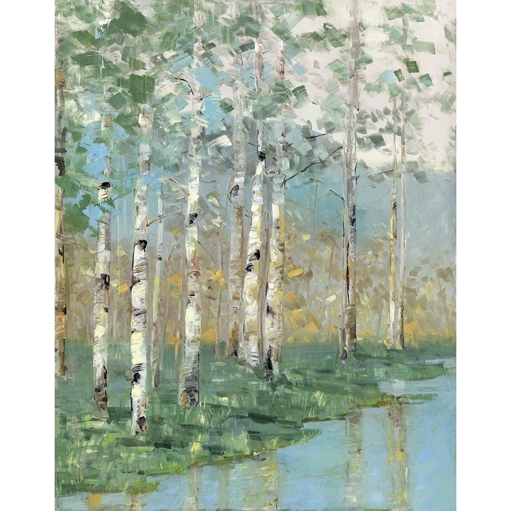 Birch Poster Print by Sally Swatland-VARPDX19855 Image 1