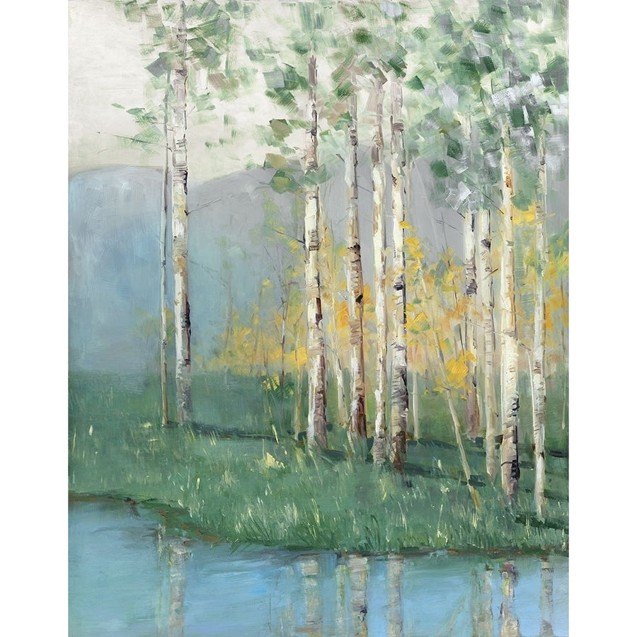 Birch Poster Print by Sally Swatland-VARPDX19856 Image 1