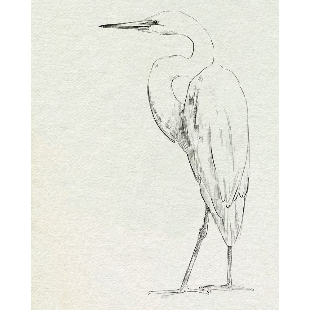 Erect Egret IV Poster Print - Emma Caroline-VARPDX198589Z Image 1