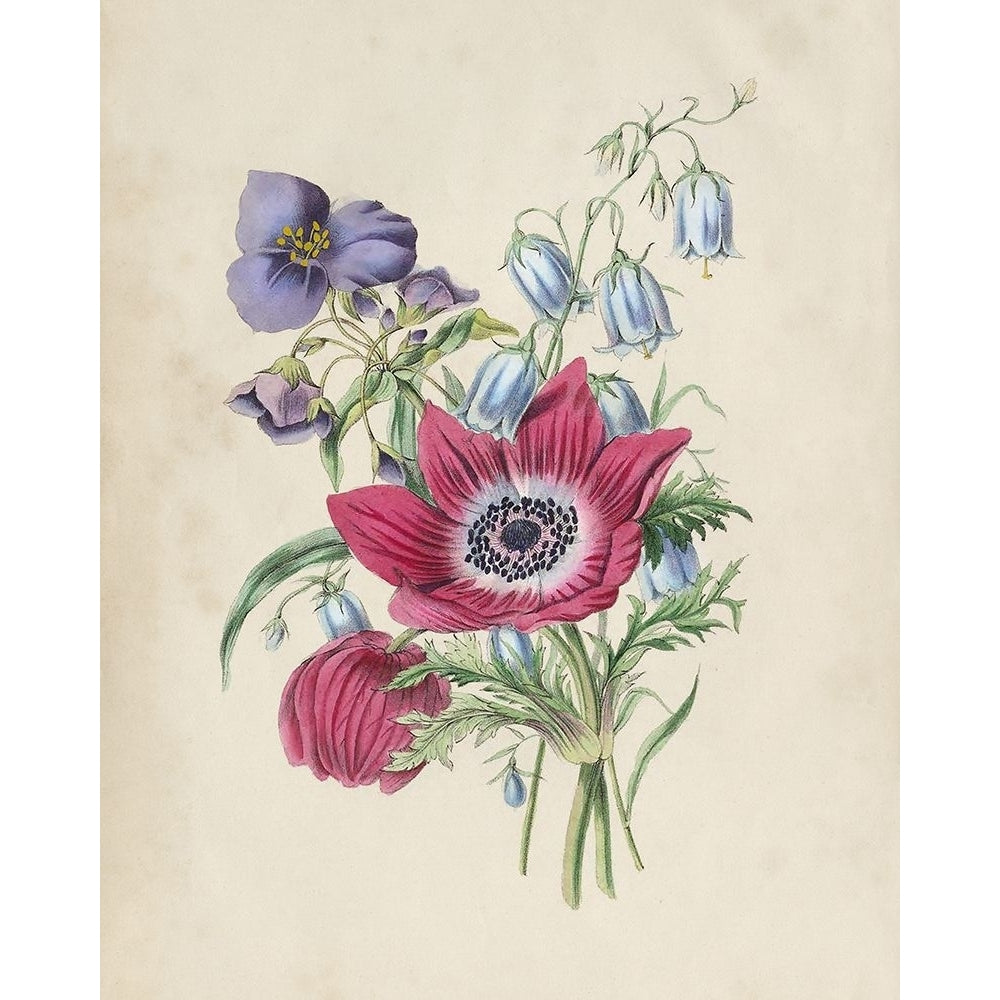 Antique Garden Bouquet I Poster Print - Studio Vision-VARPDX198626Z Image 1