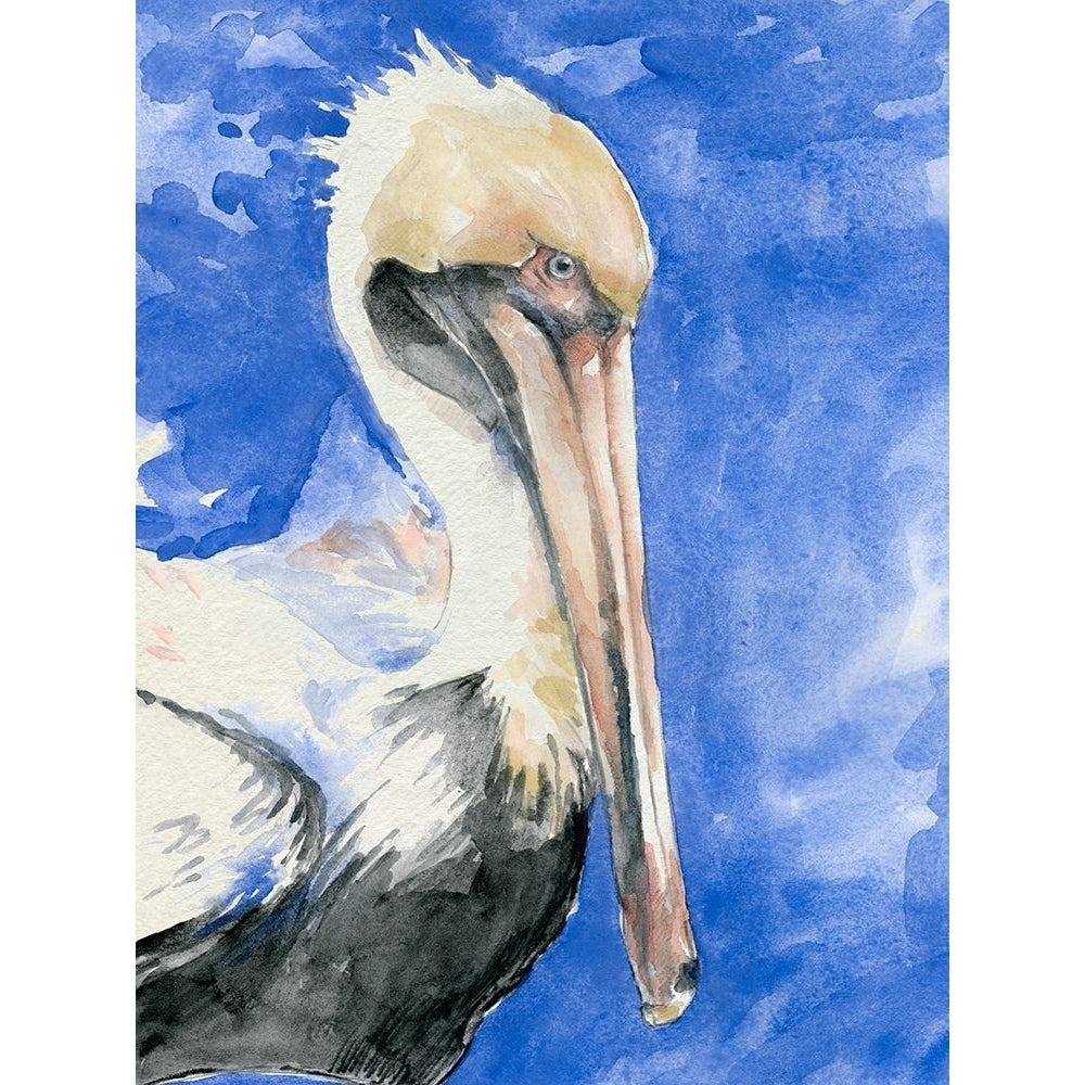 Pelican Pool I Poster Print - Jennifer Paxton Parker-VARPDX198652Z Image 1