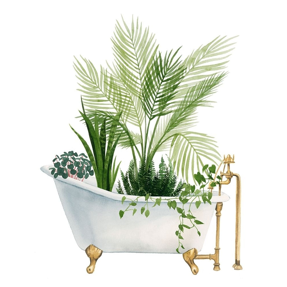 Plant Bath I Poster Print - Grace Popp-VARPDX198803Z Image 1