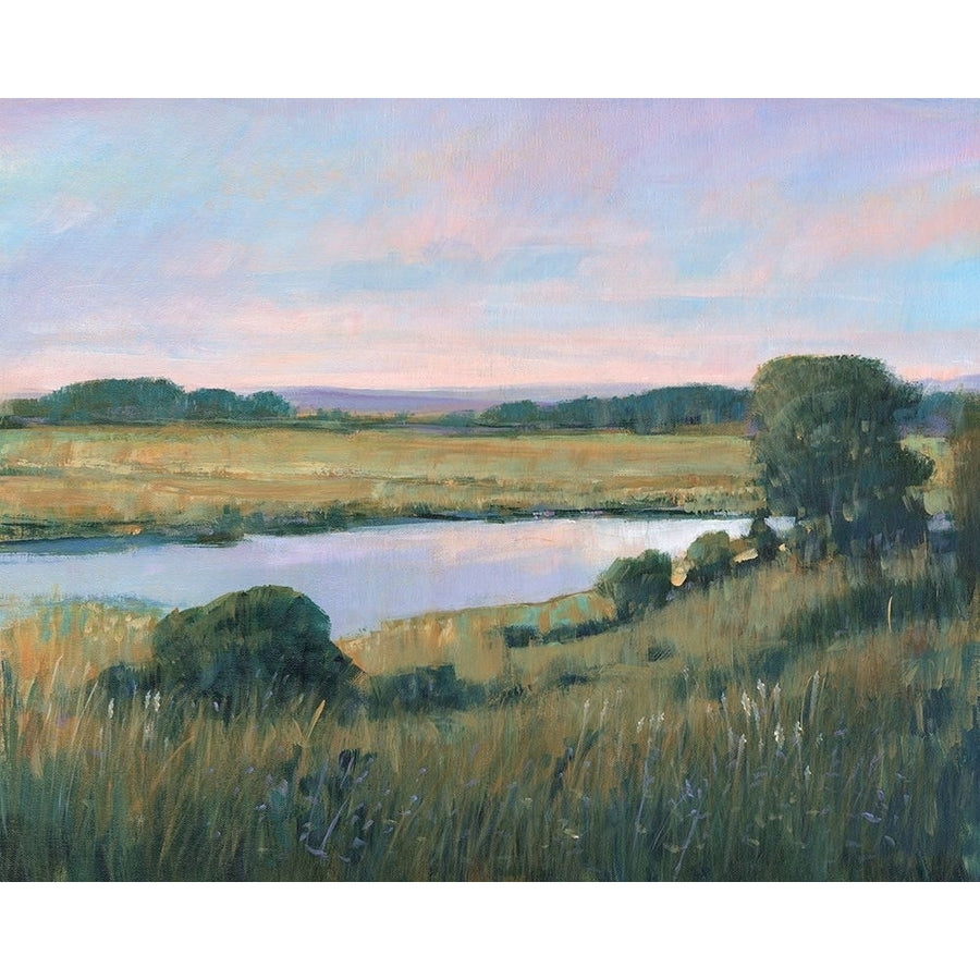 Spring Marsh II Poster Print - Tim OToole-VARPDX198854FN Image 1