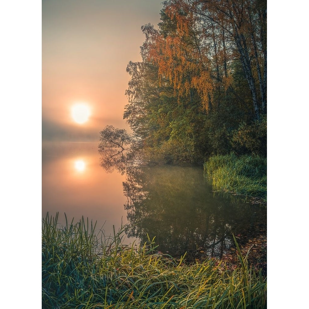 Foggy Fall Lake Poster Print - Christian Lindsten-VARPDX1989094 Image 1