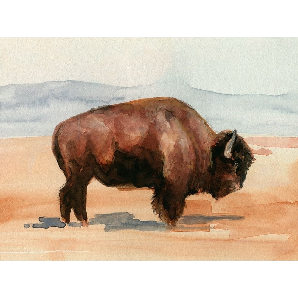 Grazing Bison II Poster Print - Jennifer Paxton Parker-VARPDX199139FN Image 1