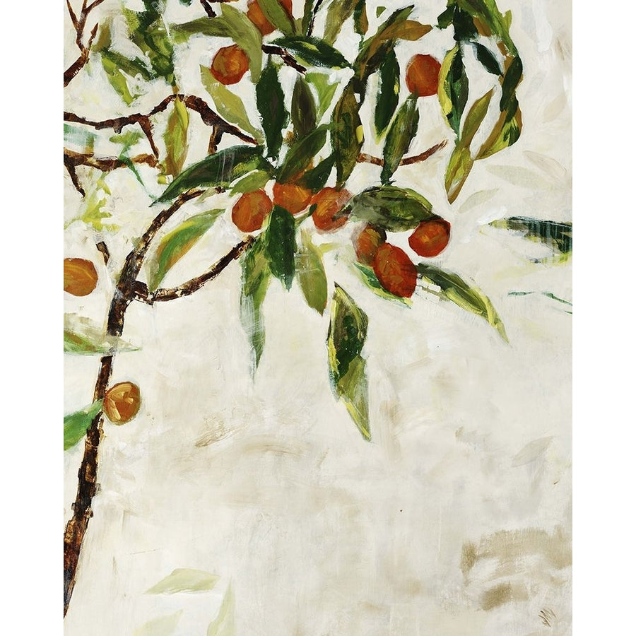 Kumquat Tree Poster Print - Jodi Maas-VARPDX1991901 Image 1