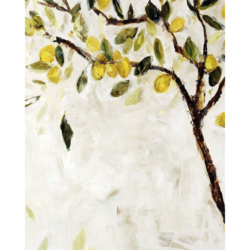 Meyer Lemon Tree Poster Print - Jodi Maas-VARPDX1991908 Image 1