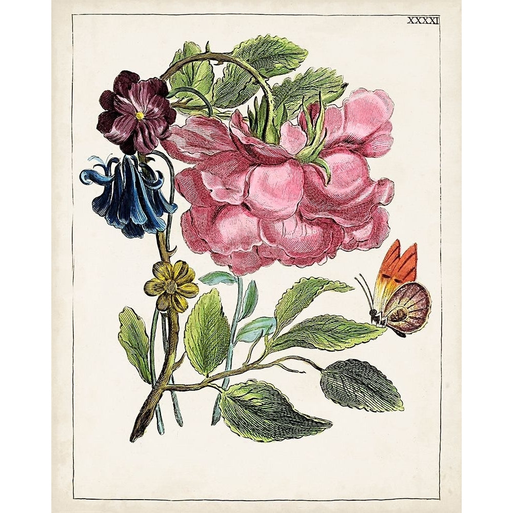 Dutch Florals XII Poster Print - Unknown-VARPDX199528Z Image 1