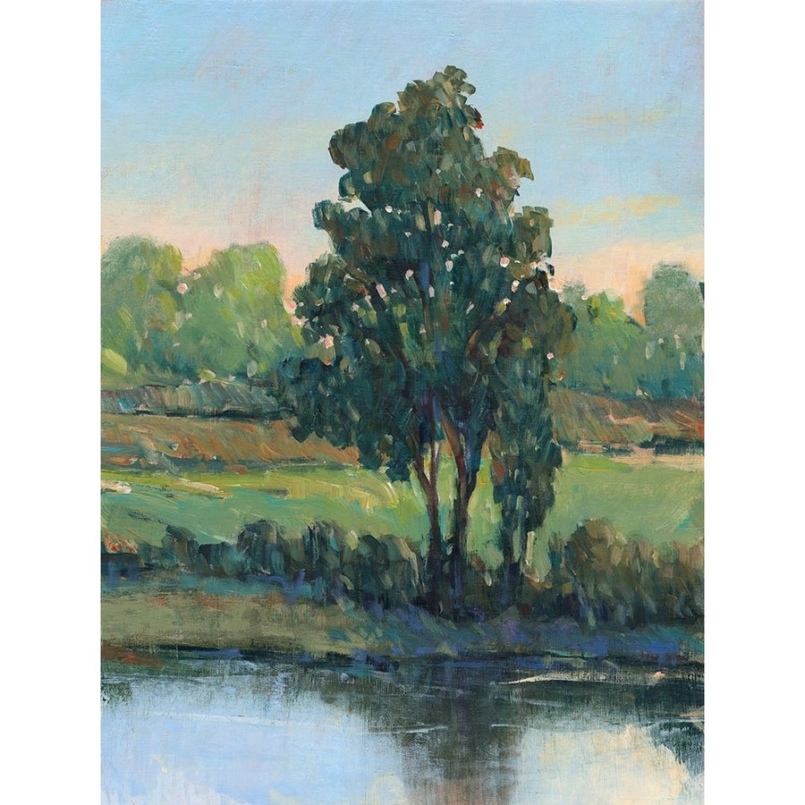 Tree by the Riverbank I Poster Print - Tim OToole-VARPDX199589FN Image 1