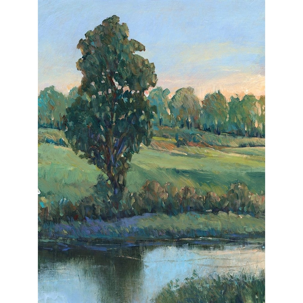 Tree by the Riverbank II Poster Print - Tim OToole-VARPDX199590FN Image 1