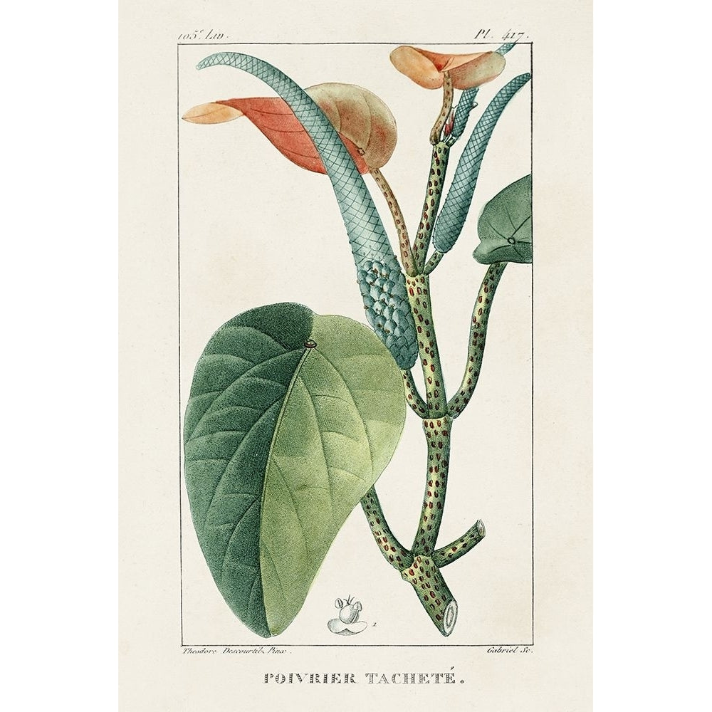 Turpin Tropical Botanicals II Poster Print - Turpin-VARPDX199614Z Image 1