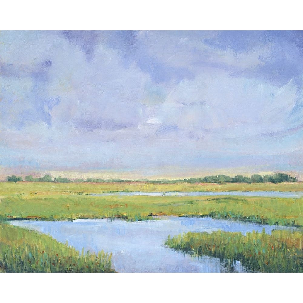 Summer Marsh I Poster Print - Tim OToole-VARPDX199745FN Image 1