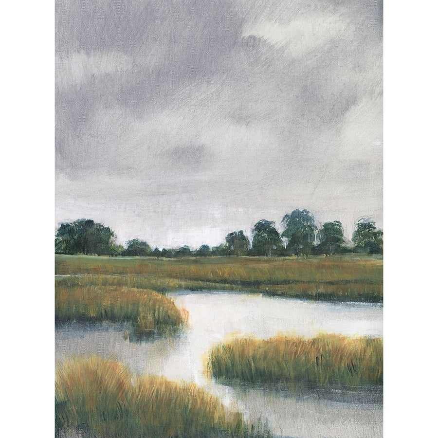 Salt Marshes II Poster Print - Tim OToole-VARPDX199750FN Image 1