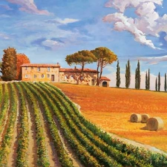 Colline toscane Poster Print by Adriano Galasso-VARPDX1AD1194 Image 2