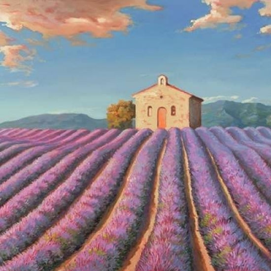 Campi di lavanda Poster Print by Adriano Galasso-VARPDX1AD1195 Image 2