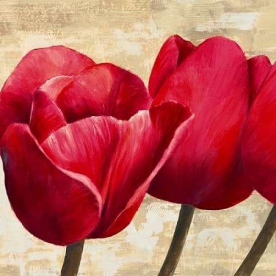 Red Tulips Poster Print by Cynthia Ann-VARPDX1AN1219 Image 1