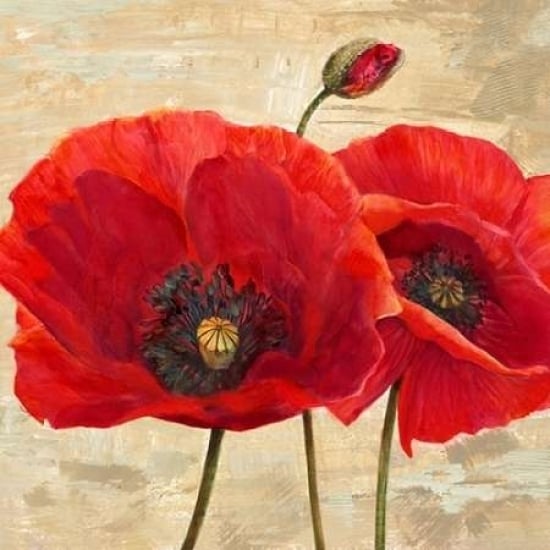 Red Poppies Poster Print-VARPDX1AN3420 Image 2