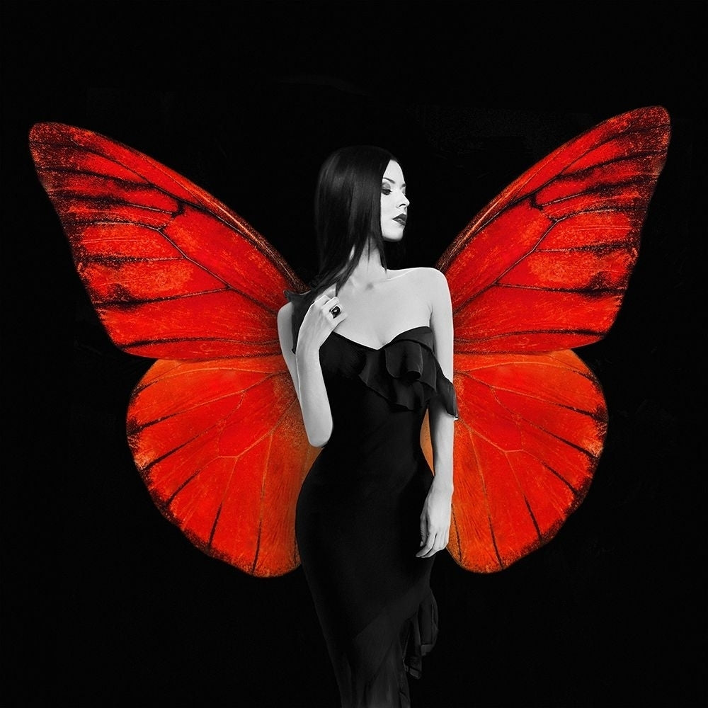 Winged Beauty -2 Poster Print by Julian Lauren-VARPDX1AP5070 Image 1