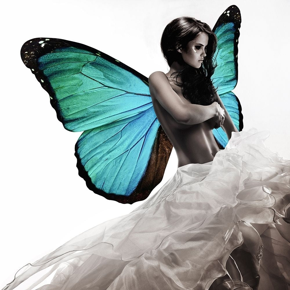 Winged Beauty -1 Poster Print by Julian Lauren-VARPDX1AP5069 Image 1