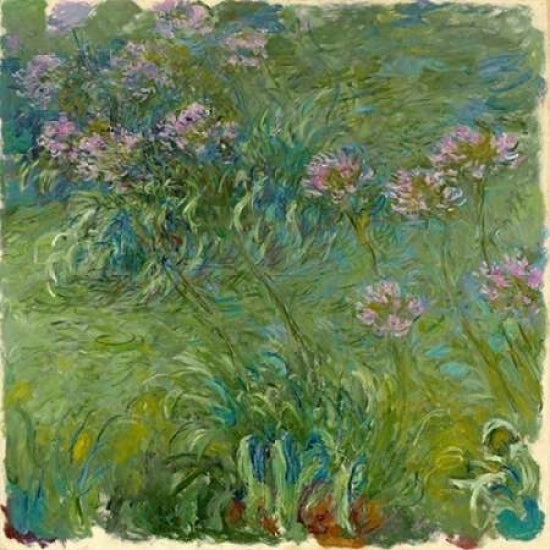 Agapanthe Poster Print by Claude Monet-VARPDX1CM1530 Image 1