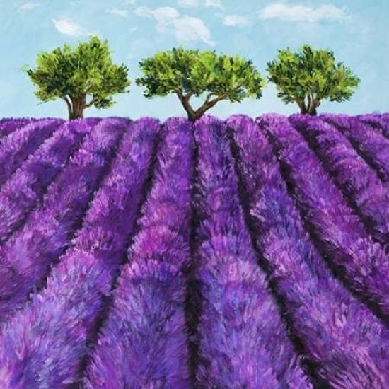 Filari di lavanda Poster Print by Massimo Germani-VARPDX1GM2980 Image 2