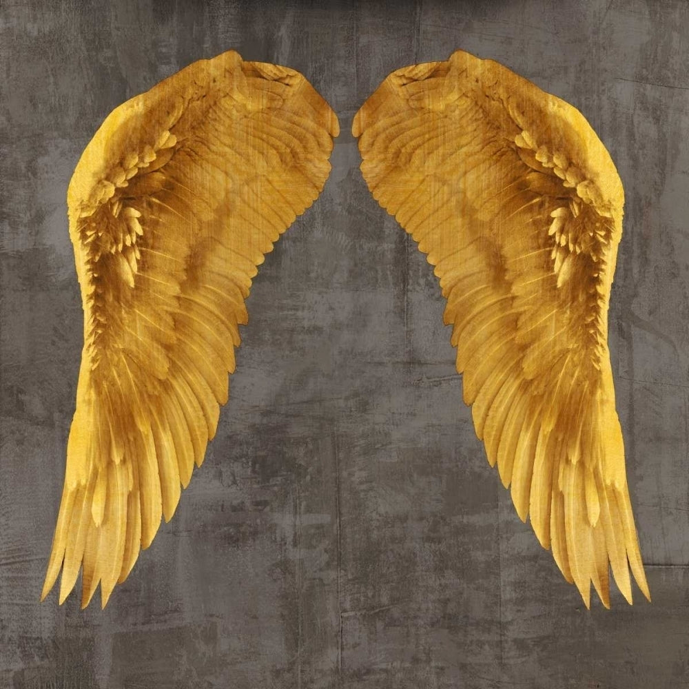 Angel Wings I Poster Print by Joannoo-VARPDX1JO4008 Image 1