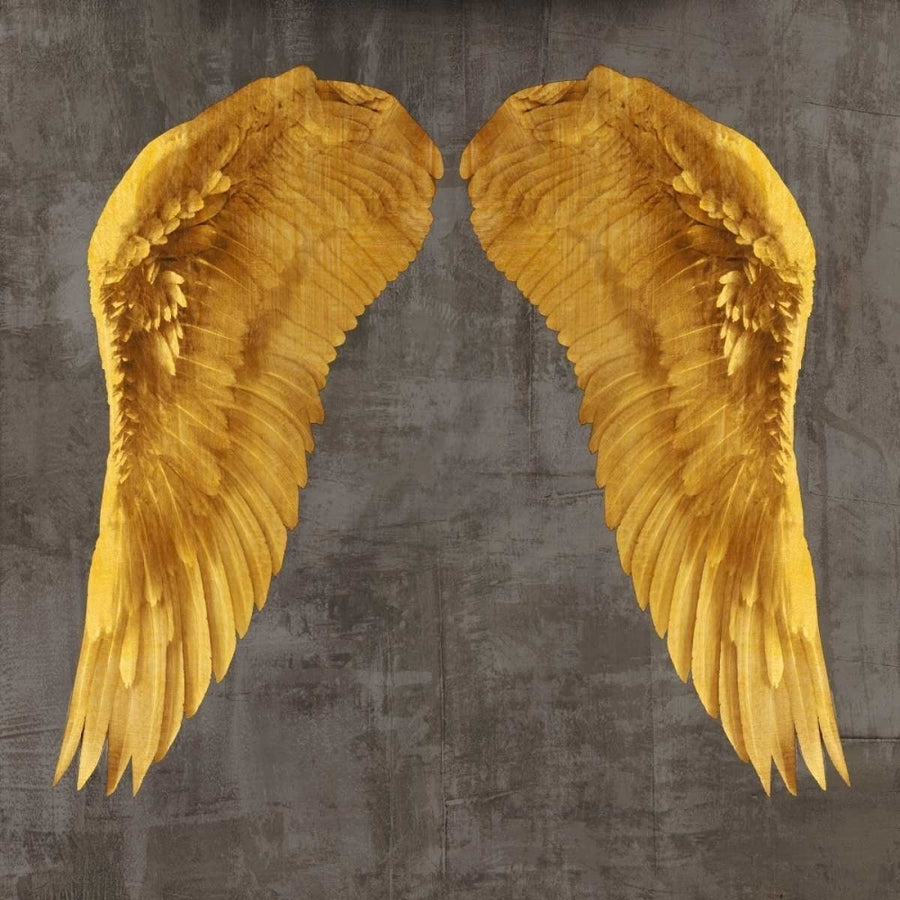 Angel Wings I Poster Print by Joannoo-VARPDX1JO4008 Image 1