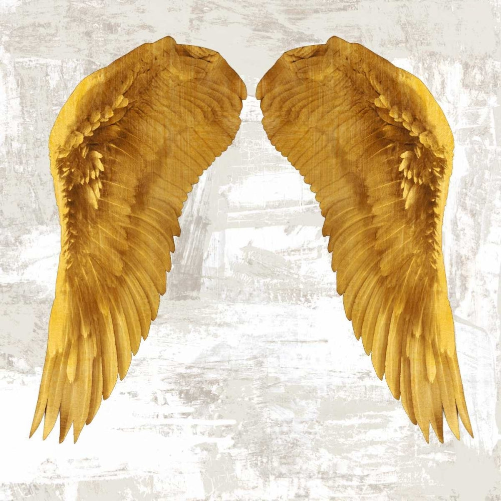 Angel Wings IV Poster Print by Joannoo-VARPDX1JO4011 Image 1