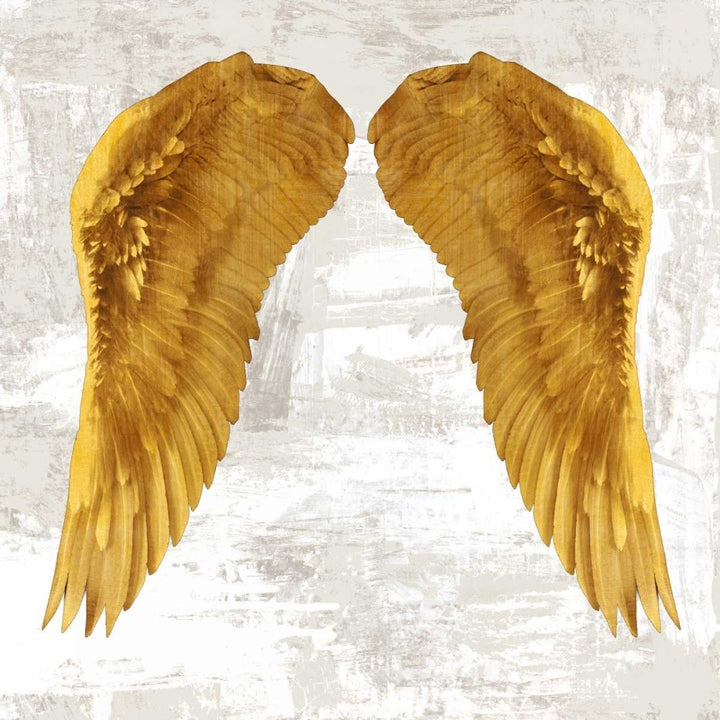 Angel Wings IV Poster Print by Joannoo-VARPDX1JO4011 Image 1