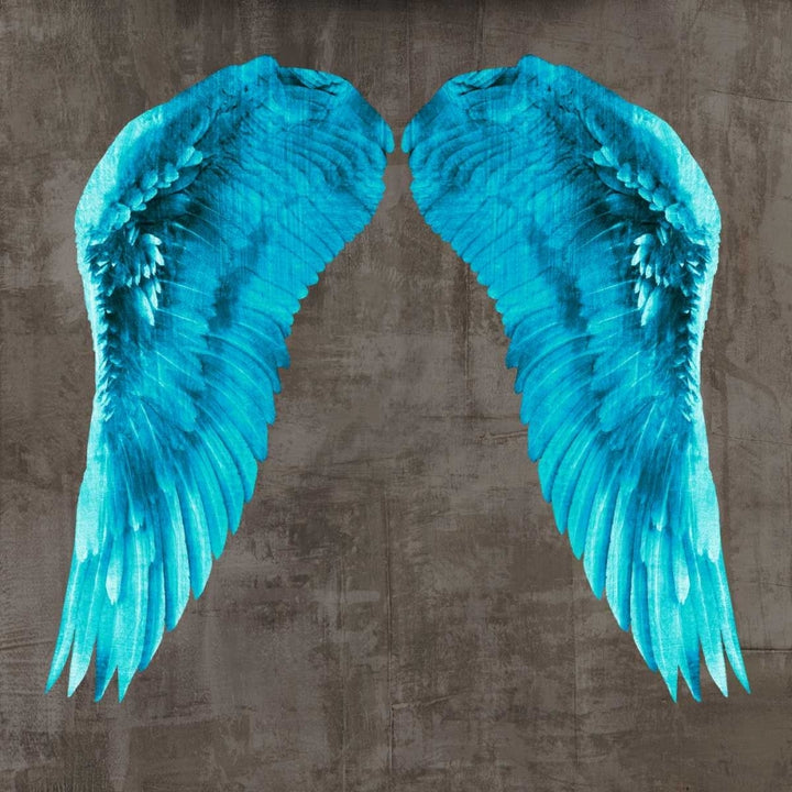 Angel Wings V Poster Print by Joannoo-VARPDX1JO4012 Image 1