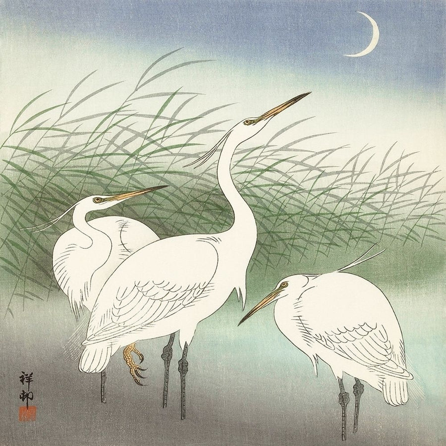 Herons in shallow water Poster Print by Ohara Koson-VARPDX1JP5245 Image 1