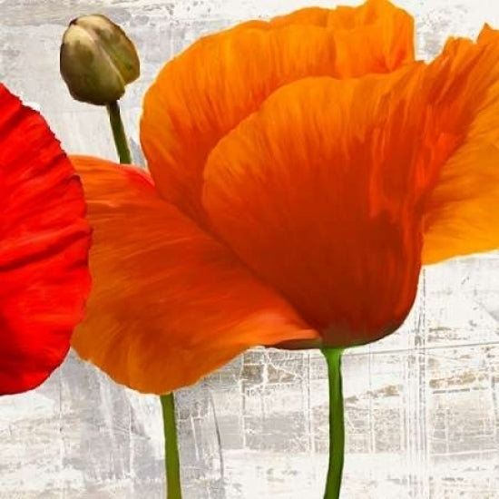 Summer Poppies II Poster Print by Jenny Thomlinson-VARPDX1JT2394 Image 1