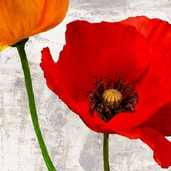 Summer Poppies I Poster Print by Jenny Thomlinson-VARPDX1JT2393 Image 2