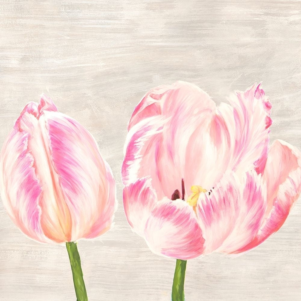 Classic Tulips I Poster Print by Thomlinson Jenny-VARPDX1JT4931 Image 1