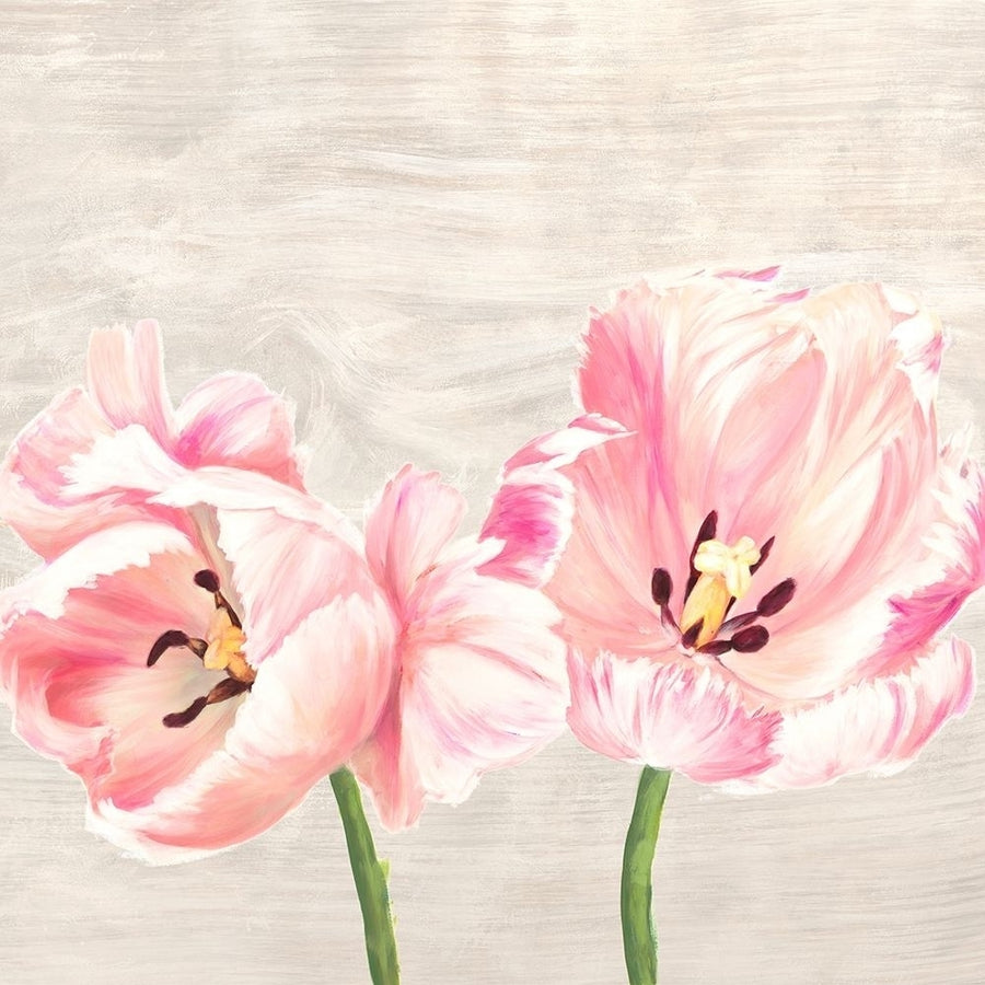 Classic Tulips II Poster Print by Thomlinson Jenny-VARPDX1JT4932 Image 1