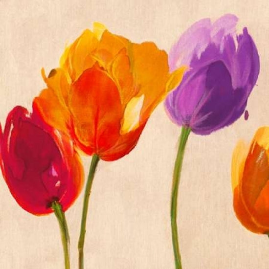 Tulips and Colors Poster Print-VARPDX1LC3477 Image 1