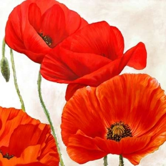 Poppies II Poster Print by Luca Villa-VARPDX1LC1782 Image 2