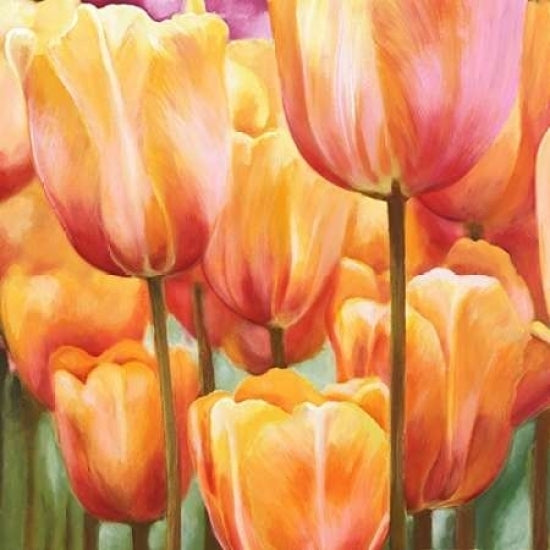 Spring Tulips II Poster Print by Luca Villa-VARPDX1LC509 Image 1