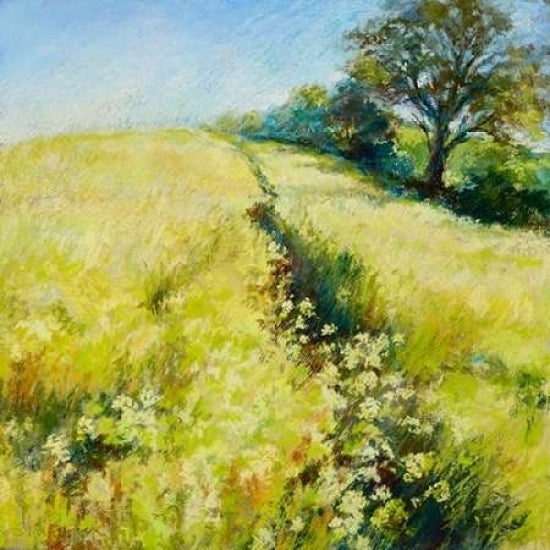 Fields of Gold Poster Print by Nel Whatmore-VARPDX1NW3405 Image 1