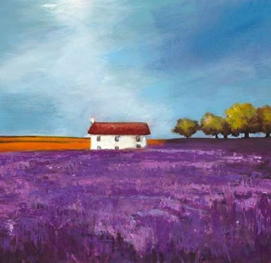 Field of Lavender Poster Print by Philip Bloom-VARPDX1PB443 Image 1