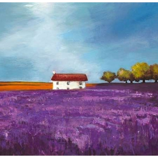 Field of Lavender Poster Print by Philip Bloom-VARPDX1PB443 Image 2