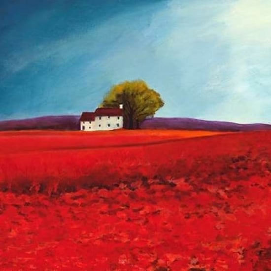 Field of poppies Poster Print by Philip Bloom-VARPDX1PB440 Image 2