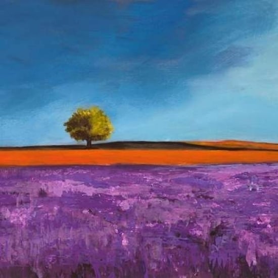 Field of Lavender Poster Print by Philip Bloom-VARPDX1PB442 Image 2