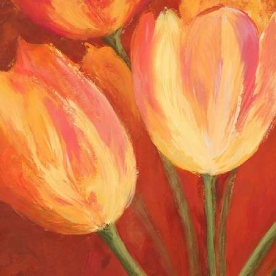 Orange Tulips-VARPDX1SM1360 Image 1