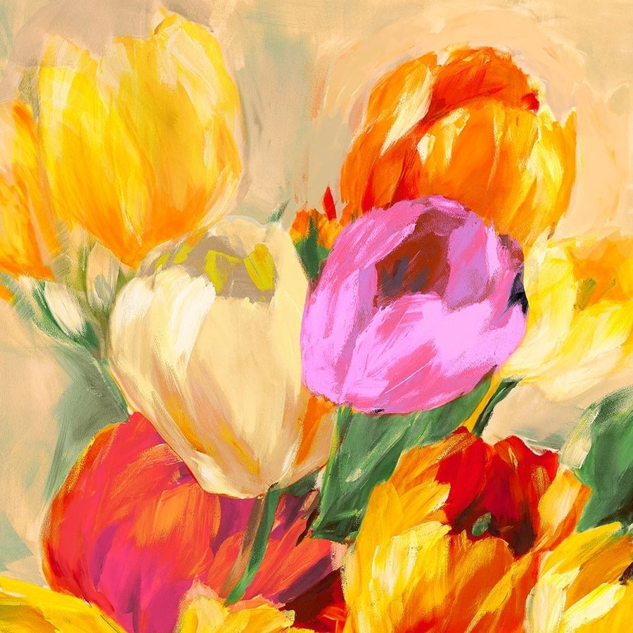 Colorful Tulips I Poster Print - Jim Stone-VARPDX1SN6229 Image 1